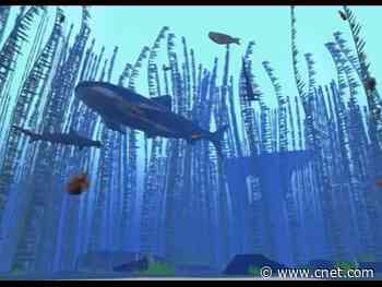 NASA created a game that lets you help map the ocean's coral reefs     - CNET