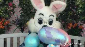Slave Lake deems Easter Bunny an essential worker during COVID-19 pandemic