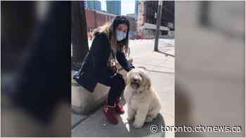 'It happened because I'm Asian': Toronto ER nurse says she was spit on, verbally assaulted