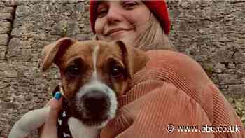 Coronavirus: 'Reading about virus online makes me anxious'