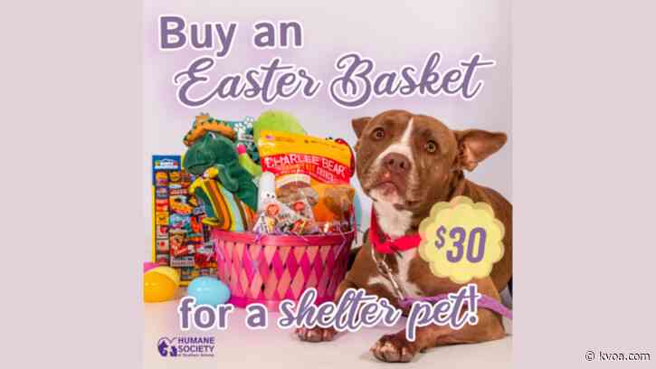 HSSA delivering Easter baskets for Tucson pets
