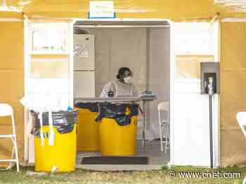 Trump questioned by senator on coronavirus surveillance plans     - CNET