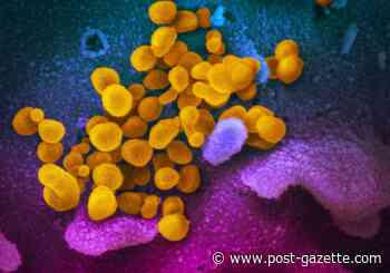 Researchers studying ultraviolet technology to dampen virus