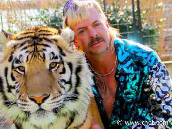 Why Tiger King is little more than a heartbreakingly tragic tale     - CNET