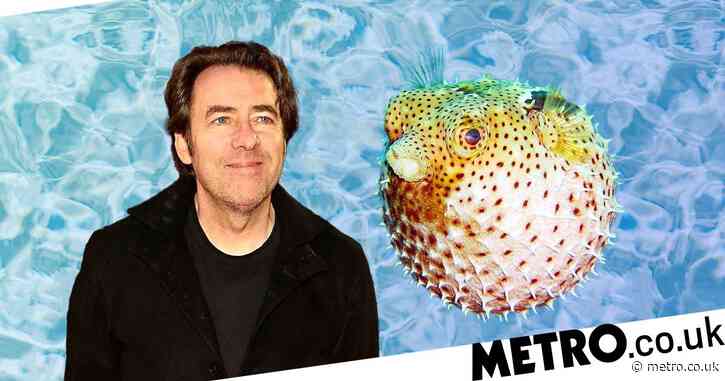 Jonathan Ross recalls nearly dying after eating pufferfish: ‘A meal that nearly killed me’