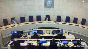 Edmonton city managers face barrage of questions on COVID-19 orders