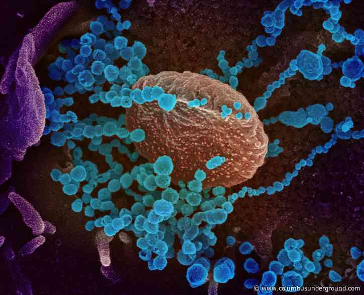 Coronavirus Update: Unemployment Numbers, Independent Contractors & More