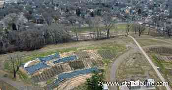 St. Paul's unique urban farm not planting due to COVID-19