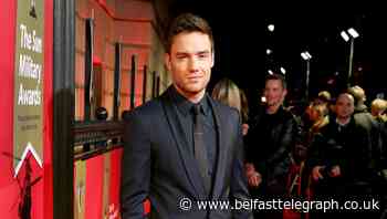 Liam Payne says One Direction are in talks to celebrate 10th anniversary
