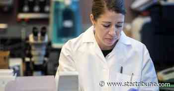 Forensic lab in Andover begins cannabis purity testing