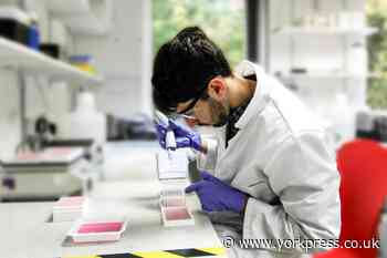 CORONAVIRUS: York lab joins battle against Covid-19 - but needs your help