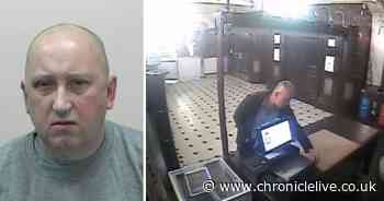 See Billy the Pigeon feeding off scraps in CCTV footage that snared the pest