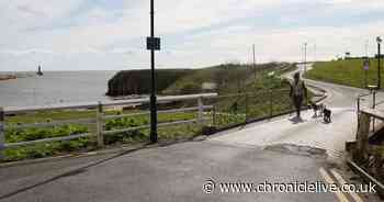 Renovations plans revealed for this Tynemouth bridge