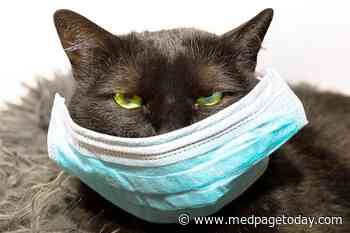The Truth About Cats, Dogs, and COVID-19