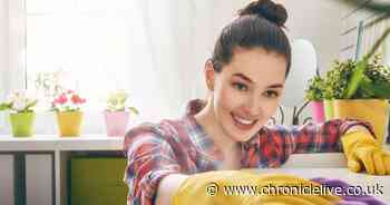 7 things you need to start doing to protect your house from coronavirus