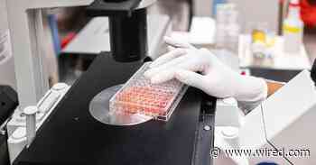The Race to Develop a Coronavirus Vaccine