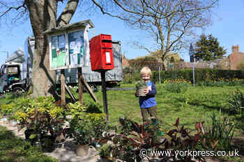 Hundreds of plants donated to keep spirits high