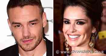 Liam Payne devastated he can't see son Bear