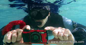 The best waterproof cameras for 2020