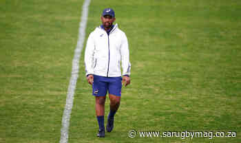 Stick's new normal: Baby formula & virtual coaching - SARugbymag