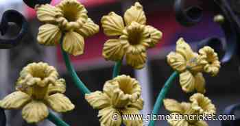 Club Statement - Playing and Coaching Staff Furloughed - Glamorgan County Cricket