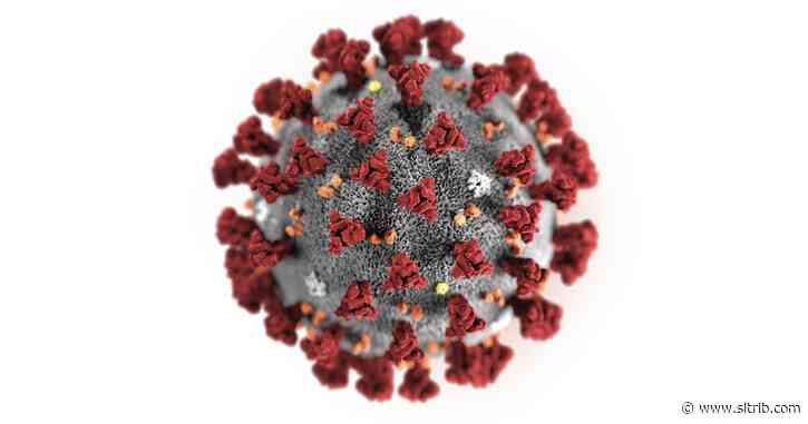 Researchers analyze genomes to track coronavirus in Arizona