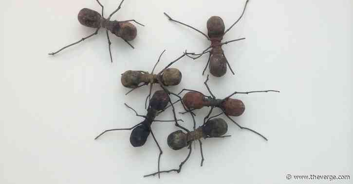 All I need in life is this Facebook group where everyone pretends to be ants