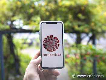 Local governments warm to MIT coronavirus-tracking app     - CNET