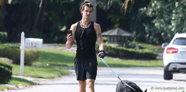 Shawn Mendes Takes Camila Cabello's Dog Thunder for a Walk