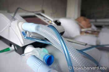 Online course to train medical pros on use of mechanical ventilators - Harvard Gazette
