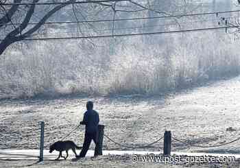 Advocates study: Cost too high, riders served too low to justify shuttle through Schenley Park