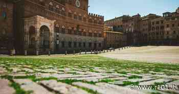 Siena, in Piazza del Campo torna a crescere l'erba - R101