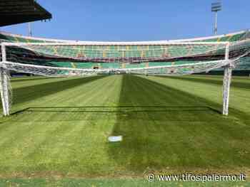 [FOTO] Il Renzo Barbera in perfette condizioni... quell'erba non calpestata da fin troppo tempo! - Tifosi Palermo - TifosiPalermo