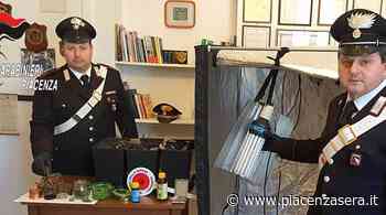 In casa una serra e un kit per lo spaccio di "erba": arrestato 27enne - piacenzasera.it - piacenzasera.it