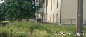 Iniziano gli sfalci del verde<br /> pubblico. Calendario per<br /> raccolta erba dei privati... - CremaOggi.it