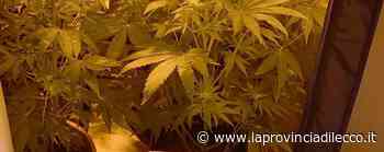 Lecco. Galeotta la lite tra fidanzati Presi con “l'erba” nell'armadio - Cronaca, Lecco - La Provincia di Lecco