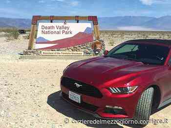 Che viaggio con l'«erba» di Venice - Corriere del Mezzogiorno