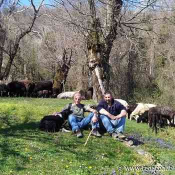 A Marmoreto l'erba si taglia così, grazie a Gionni e Giuseppe - Redacon