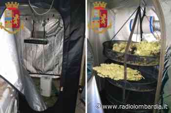Casarile (MI), coltivava erba in garage per poi spacciarla: arrestato 25enne - Radio Lombardia