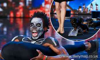 Britain's Got Talent SPOILER: First audition sees contortionist and dancing Dachshunds
