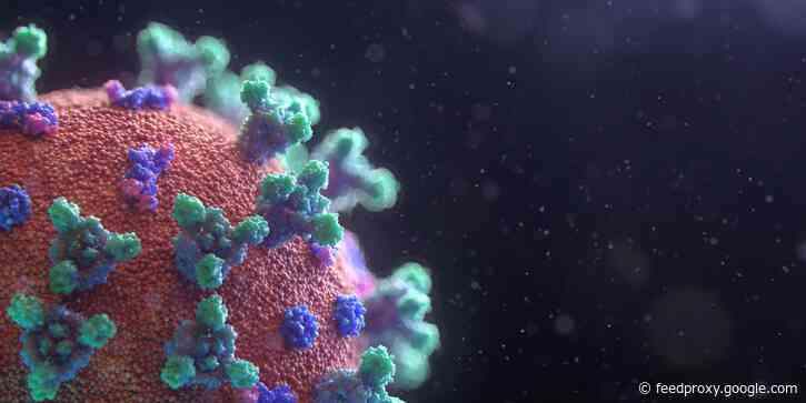 European countries should all use the same coronavirus tracking app, says EU