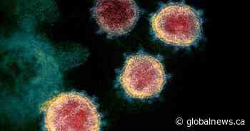 Reality check: Would Alberta benefit by letting COVID-19 spread among young people to build up herd immunity?