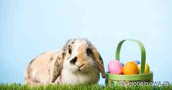 Coronavirus: Social distancing through Easter weekend in Saskatchewan