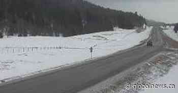 Parts of southern, central Alberta under snowfall warning on Good Friday