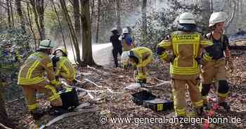 Waldbrände in Lohmar: Polizei ermittelt nach drei Bränden - General-Anzeiger