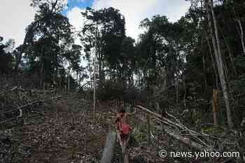 15-year-old boy from Amazon tribe dies of coronavirus