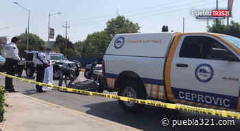 Ruta 21 atropella y mata a mujer sobre la calzada Zaragoza - Puebla 321