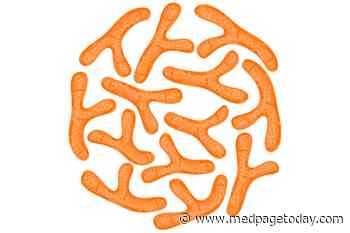 Heat-Inactivated Probiotic May Ease IBS Symptoms