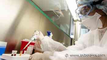 Coronavirus: 3 personas murieron y hubo 81 nuevos casos - Infonews
