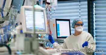 Truth about Covid-19: UK scientist reveals everything we know about deadly virus